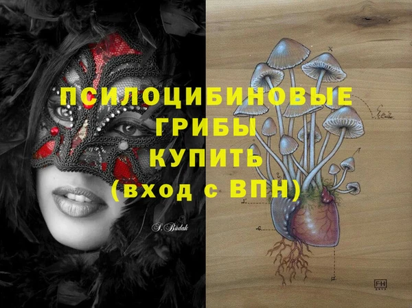 молекула духа Алзамай