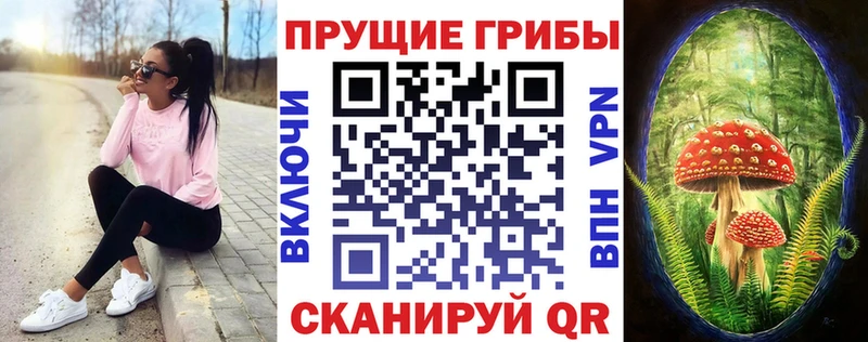 Галлюциногенные грибы Psilocybe Болотное