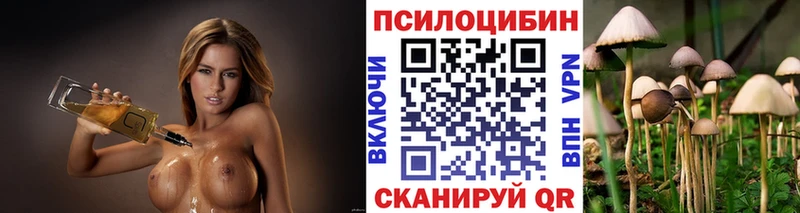 Псилоцибиновые грибы мухоморы  Купить  Болотное 
